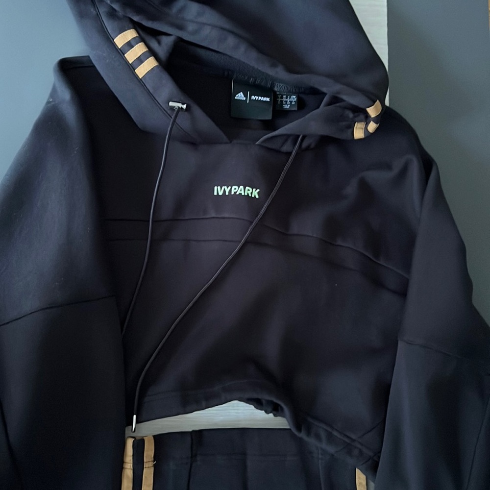 Ivy park crop hoodie and skirt set